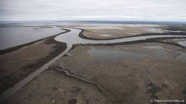 Lawsuit by Manitoba chiefs urges Lake Winnipeg be legally defined as a person