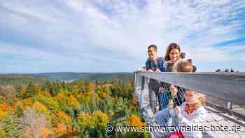 Anzeige: 10 Jahre Baumwipfelpfad Schwarzwald
