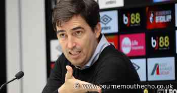 Ref chief says Cherries goal against Newcastle shouldn't have been disallowed