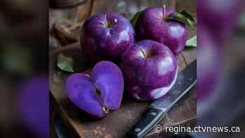 AI photo of purple apples growing in Sask. sparks attention, experts debunk image