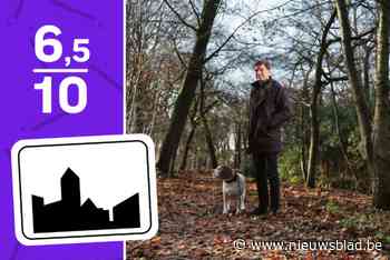 POLITIEK RAPPORT. “Al veel gerealiseerd om Boom nieuw gezicht te geven, maar veiligheid moet absoluut omhoog”