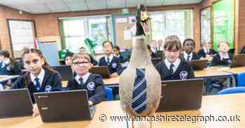 School pupils go quackers after adopting Des the Duck