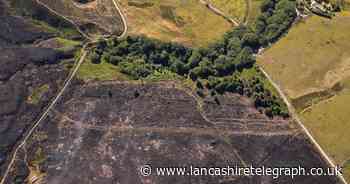 Winter Hill peatland struggling to recover six years on from wildfire