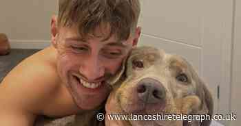 Owner’s horror after dog injured in 30ft jump from Darwen Tower