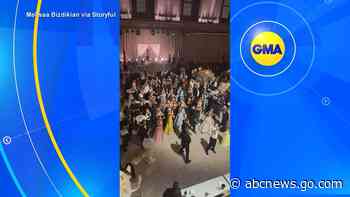 WATCH:  Wedding guests perform ABBA flash mob