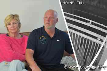 Nieuwe spanningen in Breugelhoeve na inbraak: “Hij spoot liters ijskoud water over ons dier”