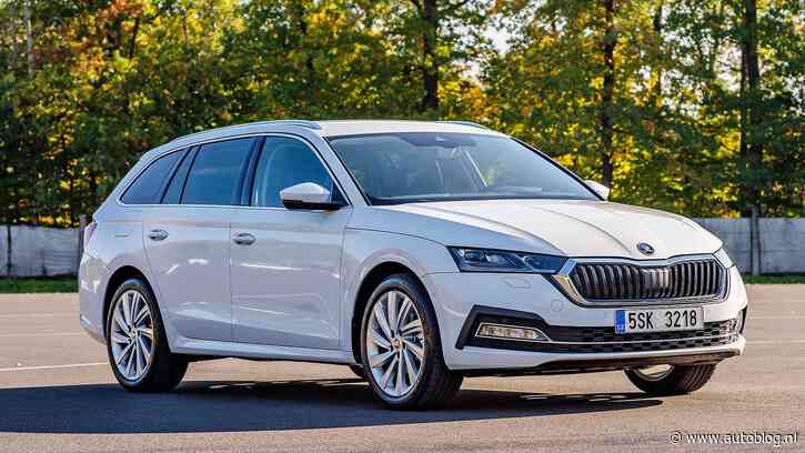 Skoda vogelvrij in Rotterdamse wijk