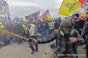 Trump fan featured in Biden ad admits assaulting officers with bear spray on Jan. 6