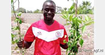 Klimaatverandering beïnvloedt kleinschalige land- en tuinbouw in Gambia