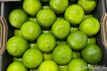 Lage prijzen voor Braziliaanse limes