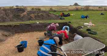 I visited the Holy Island archaeological dig - and its finds' room is fascinating