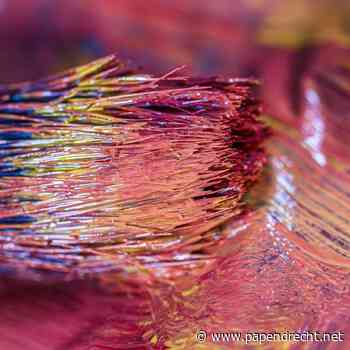 Workshop 'Vaas of pot pimpen' bij Wijkvereniging de Kooy