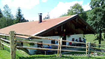 Forstarbeiten am Stachl beendet – Weg zur Herrenalm wieder begehbar