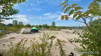 City's plan for outdoor shelter on Barton Street moves ahead after councillors vote in favour