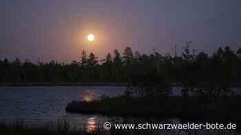 Vollmond am Kaltenbronn: Der „Supermond“ am Wildsee