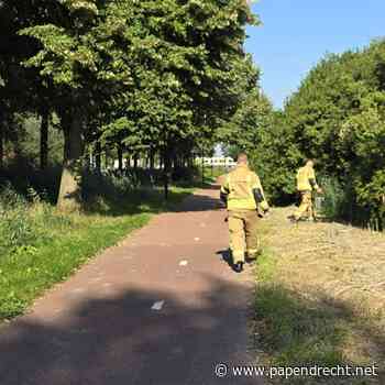 Brandweer blust brandje plantsoen Burgemeester Keijzerweg