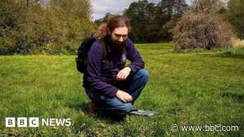Shock after rare fish discovered on river walk