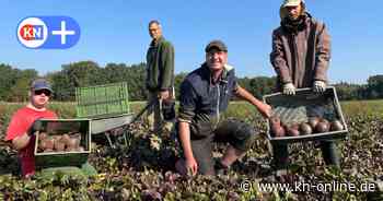 Soziale Landwirtschaft für Menschen mit Handicaps in Schleswig-Holstein