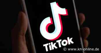 Tiktok löscht Dutzende Fake-AfD-Profile nach Recherche