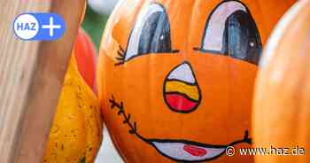 Kürbisfeste 2024 in der Region Hannover: Hier wird im Herbst gefeiert