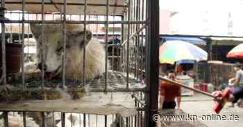 Neue Belege: Coronavirus soll Ursprung auf Tiermarkt haben – Labor-Theorie unwahrscheinlich