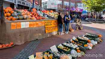 Salzgitters Herbstmarkt startet: Hier gibt es alle Infos