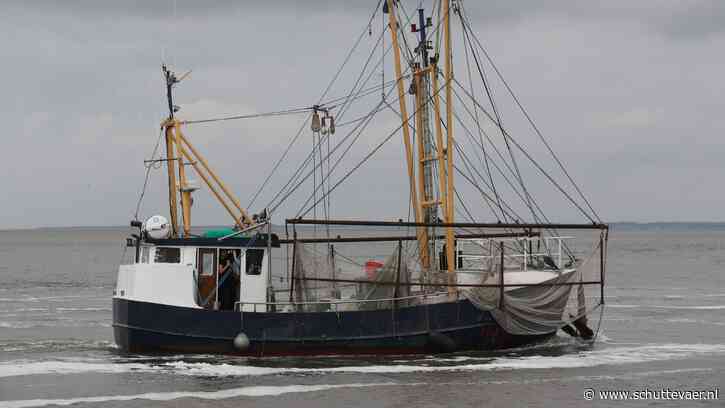 Jurre Kerkhof ziet brood in ankerkuilvissen op Waddenzee