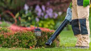 These Leaf Blowers Are Perfect for Fall Clean Up, and for Annoying Cate Blanchett