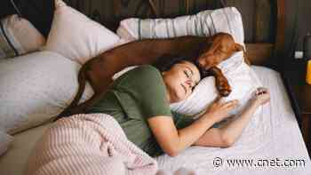 Why Sleeping With Your Pet Can Be Bad for You Both