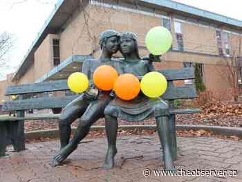 Area self-published, indie authors get own spot in Sarnia Library