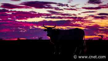 Best Internet Providers in Killeen, Texas