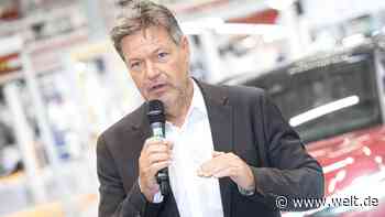 FDP kritisiert Habecks geplanten Autogipfel