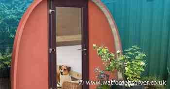 Charity appealing for donations to buy pet-friendly sleep pod