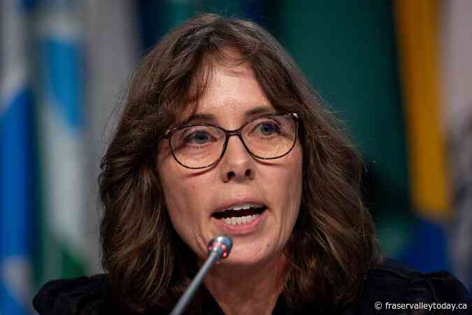 Greens reject acrimony, setting them apart from other B.C. parties: Furstenau