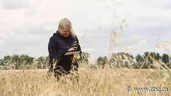 Climate change is impacting weeds on the Prairies. Here's how some people are fighting back