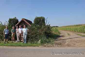 Stad Lier heropent historische trage weg ‘Voetweg 46’: “Verhoogt de beleefbaarheid van het Fort van Lier”