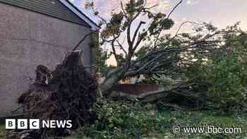 Tornado in Hampshire town damages properties and blows over trees