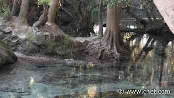 Best Internet Providers in Valrico, Florida