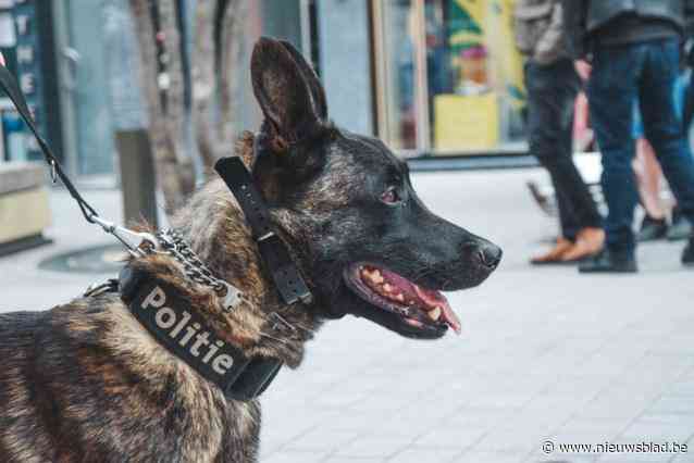 Bewoners ziet inbrekers live aan het werk op zijn gsm