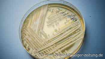 Pilz-Infektionen: Experten warnen vor „verborgenen Killern“