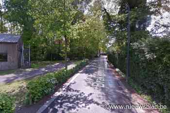 Scoutskinderen ontdekken obussen met metaaldetector in bos in Schilde