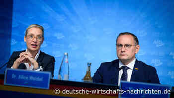 AfD: Führung aus der zweiten Reihe bleibt Tradition