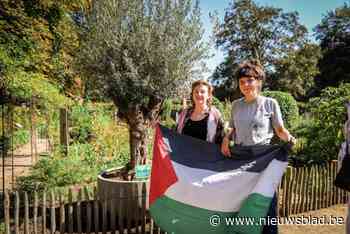 Olijfboom geplant in Tivolipark als symbool voor solidariteit met Palestina: “We mogen niet wegkijken bij dit buitensporig geweld”
