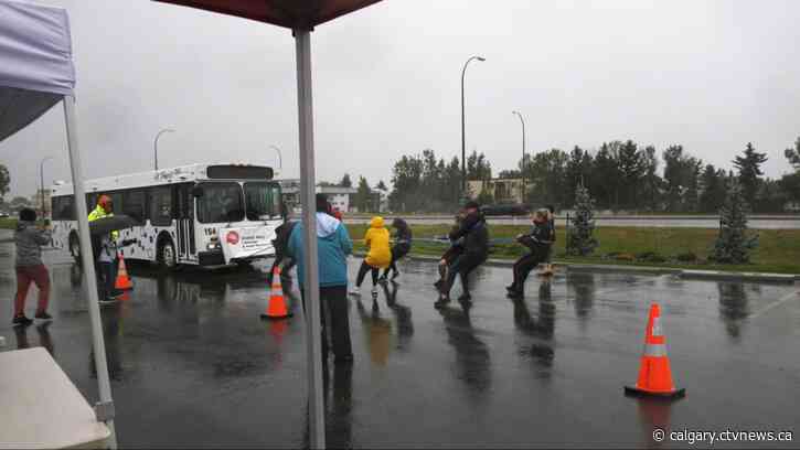 Volunteers brave cold and rain to pull the bus in fundraiser for United Way of Lethbridge