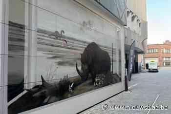 Kunstenaar Nicolas (35) tovert lift om tot wolharige neushoorn: “Zo zag Aalst er 250.000 jaar geleden uit”