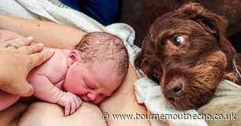 'The love in his eyes is what made me want to enter the photo into the competition'