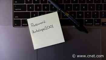 Best Password Manager in 2024