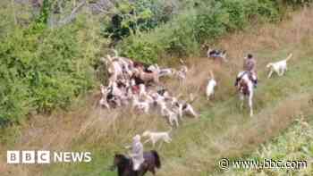 Hunt master and assistant guilty of illegal fox chase