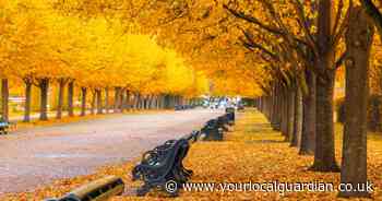 These are the best Autumn walks in London to enjoy some fresh air