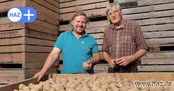 Gastronomie in Hannover: Was unterscheidet gute und schlechte Kartoffeln?